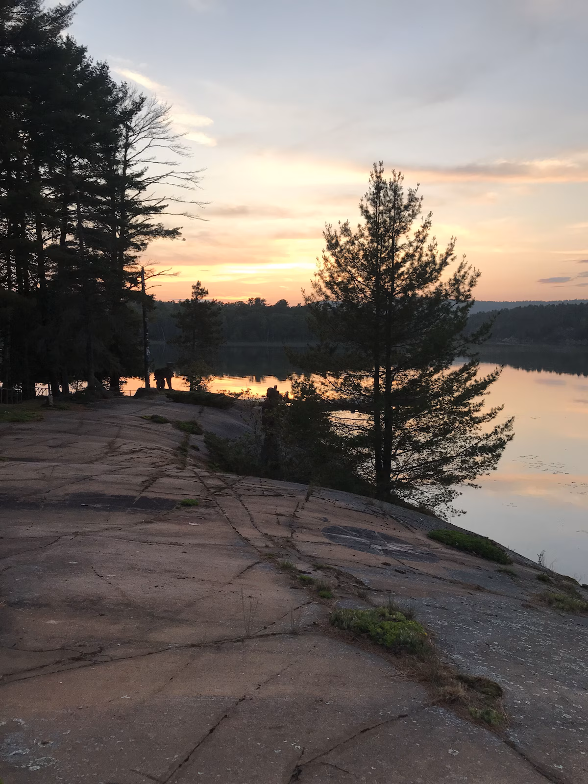 Main Lodge: Additional interior view